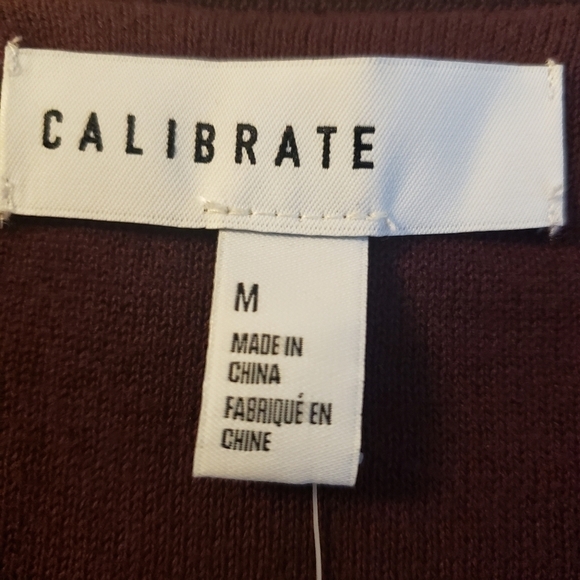 Calibrate Nordstrom Burgundy Oversized Striped Sweater - Picture 11 of 11